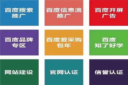 某电商平台的SEM推广策略及效果分析